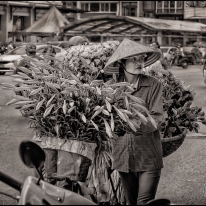 VIET_15_SITE.jpg