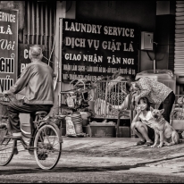 VIET_23_SITE.jpg