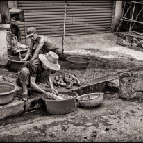 VIET_34_SITE.jpg