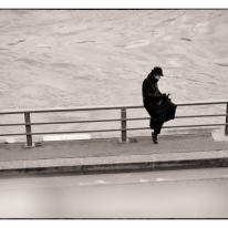 Paris_1_Quai_du_louvre.jpg